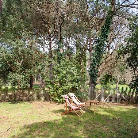 Villa Familiale Spacieuse Lège-Cap-Ferret